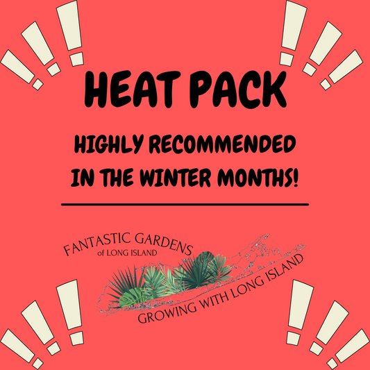 Heat Pack