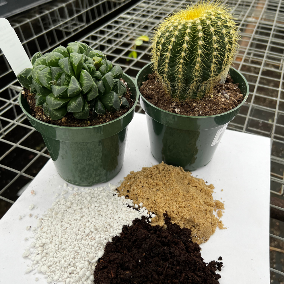Cactus and Succulent Potting Mix Fantastic Gardens