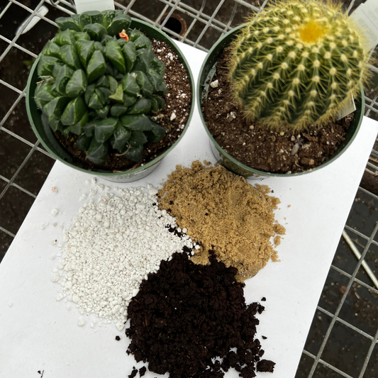 Cactus and Succulent Potting Mix